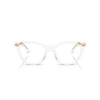 Monture de lunettes D&G Femme 3428313351